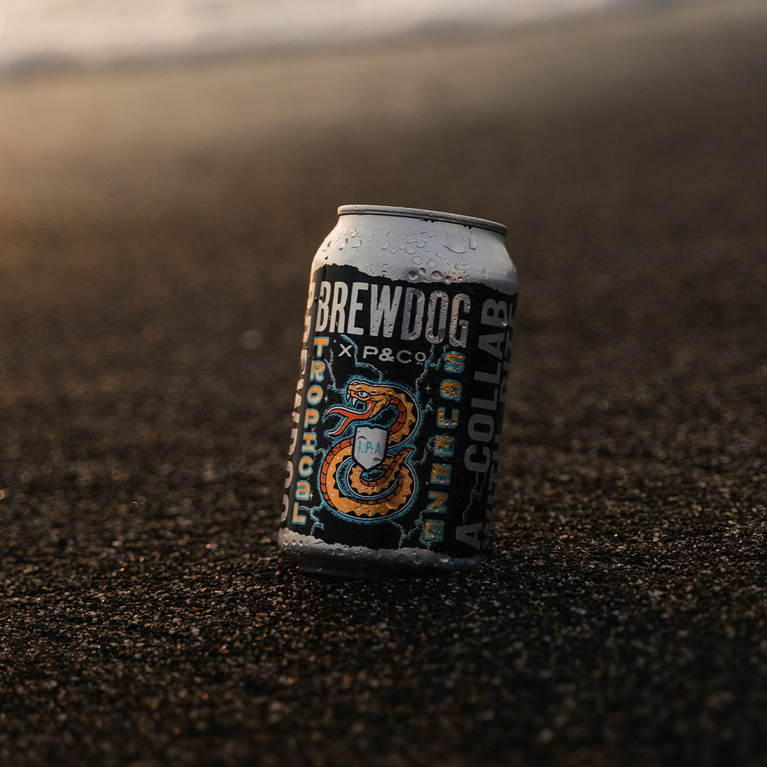 P&Co x BrewDog | A Collaboration With Bite