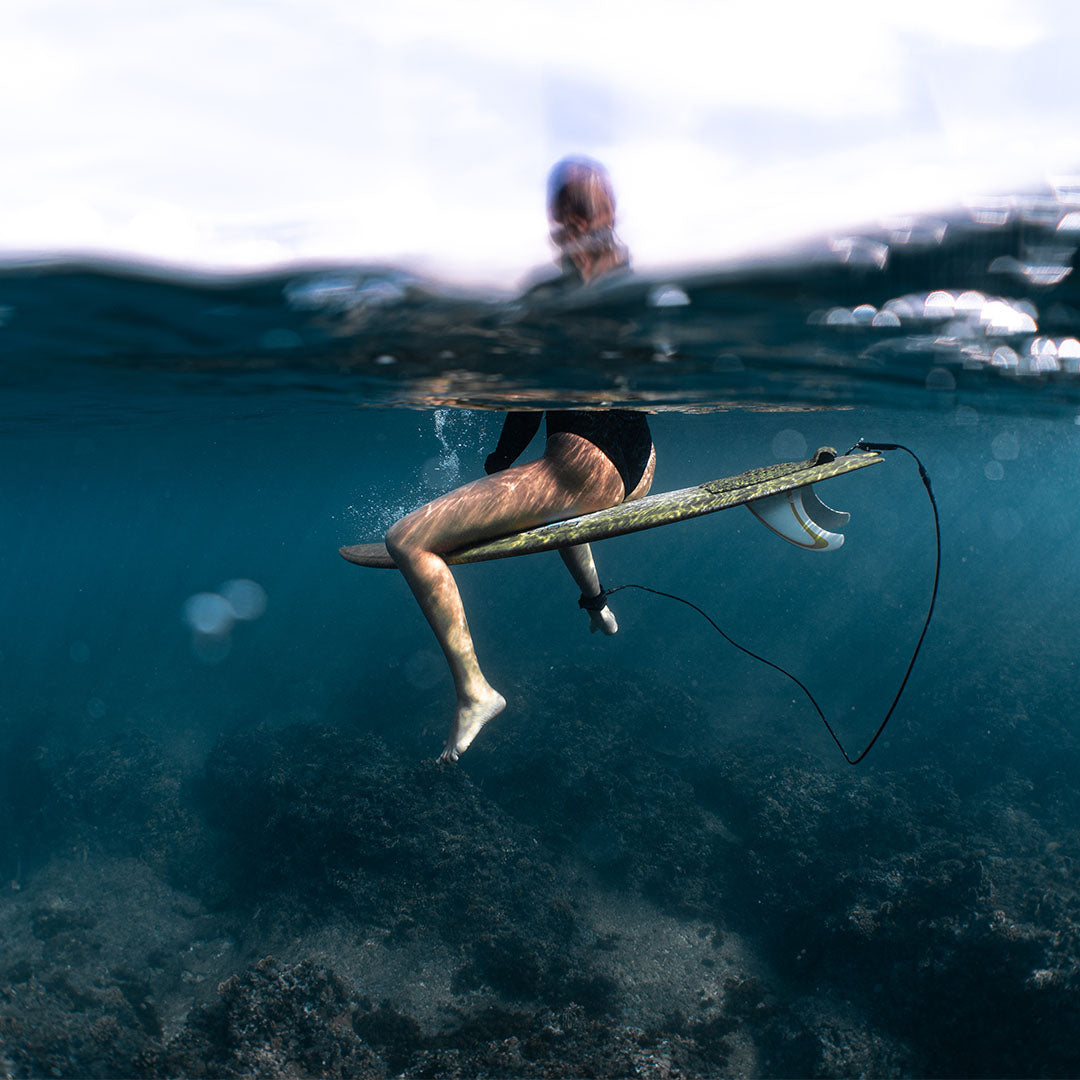 P&Co Earth Day 2022 | SeaTrees Charity