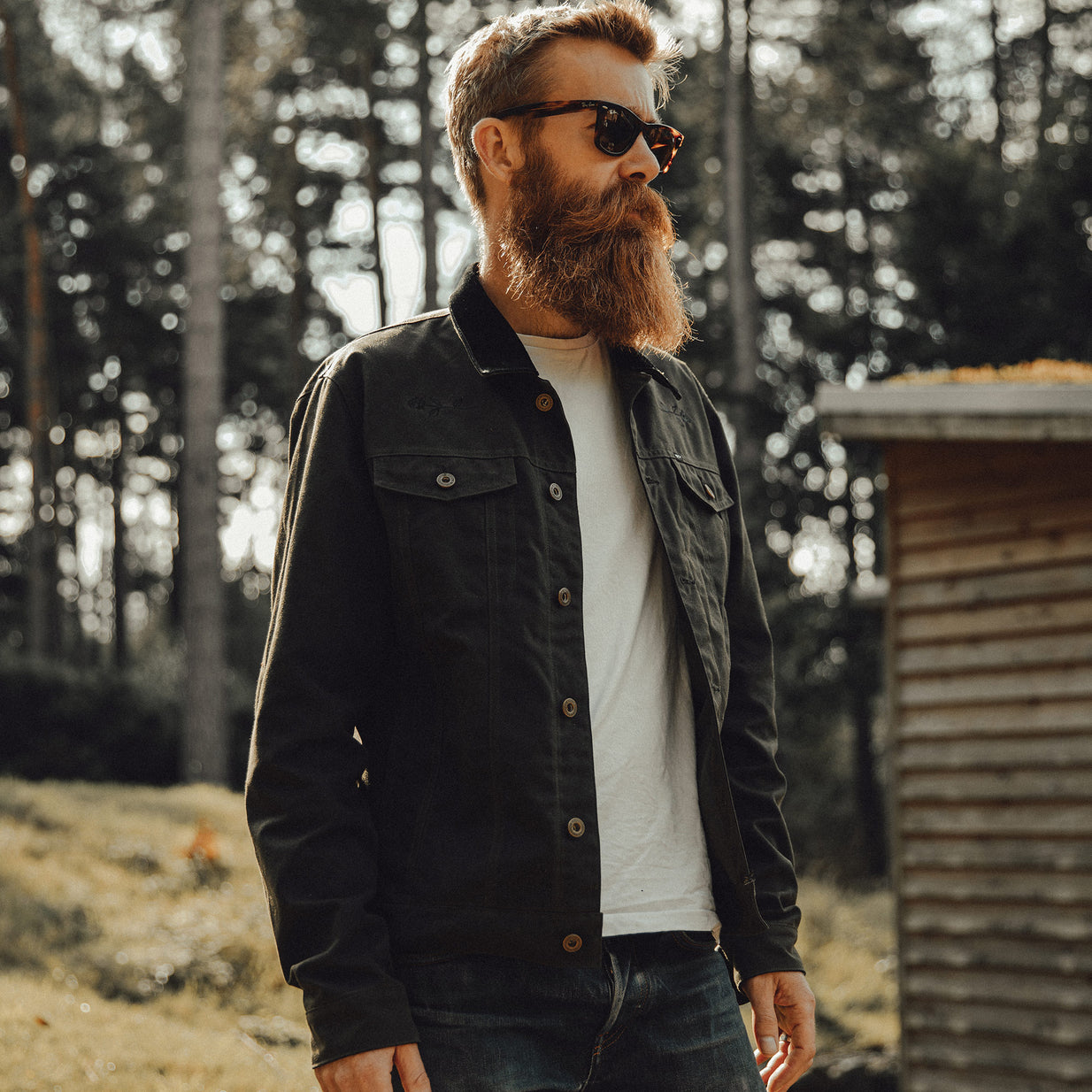 P&Co New Autumn Collection