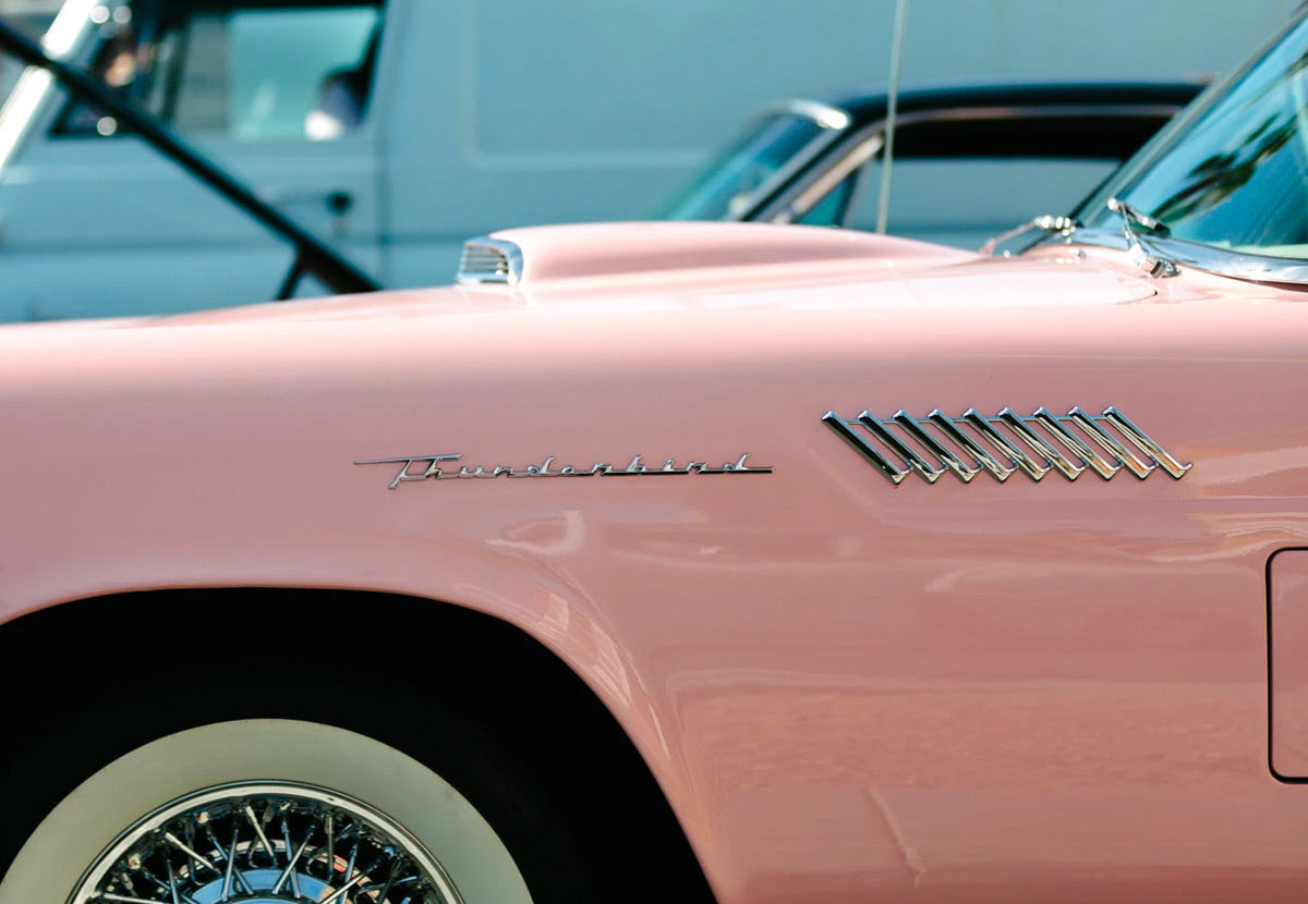 Paradise Roadshow 2020