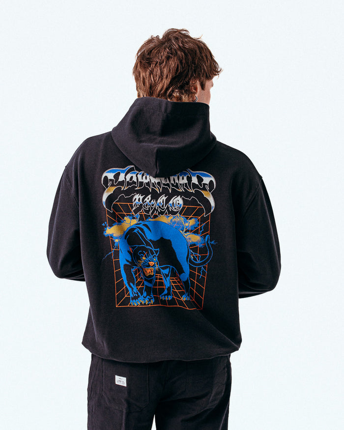 Panther Portal Download Hoodie - Washed Black