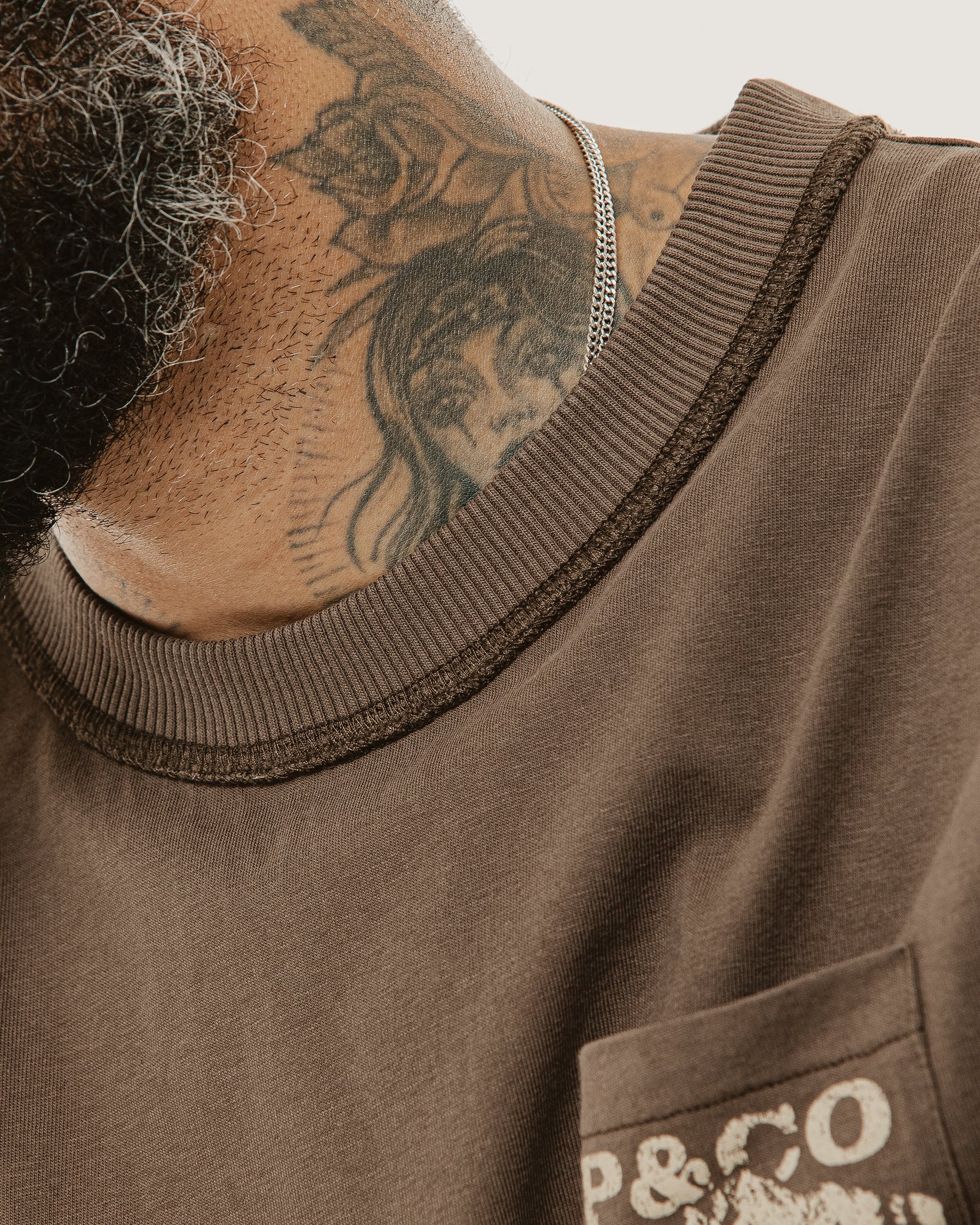 Mt. Regent Boxy T-Shirt - Washed Brown
