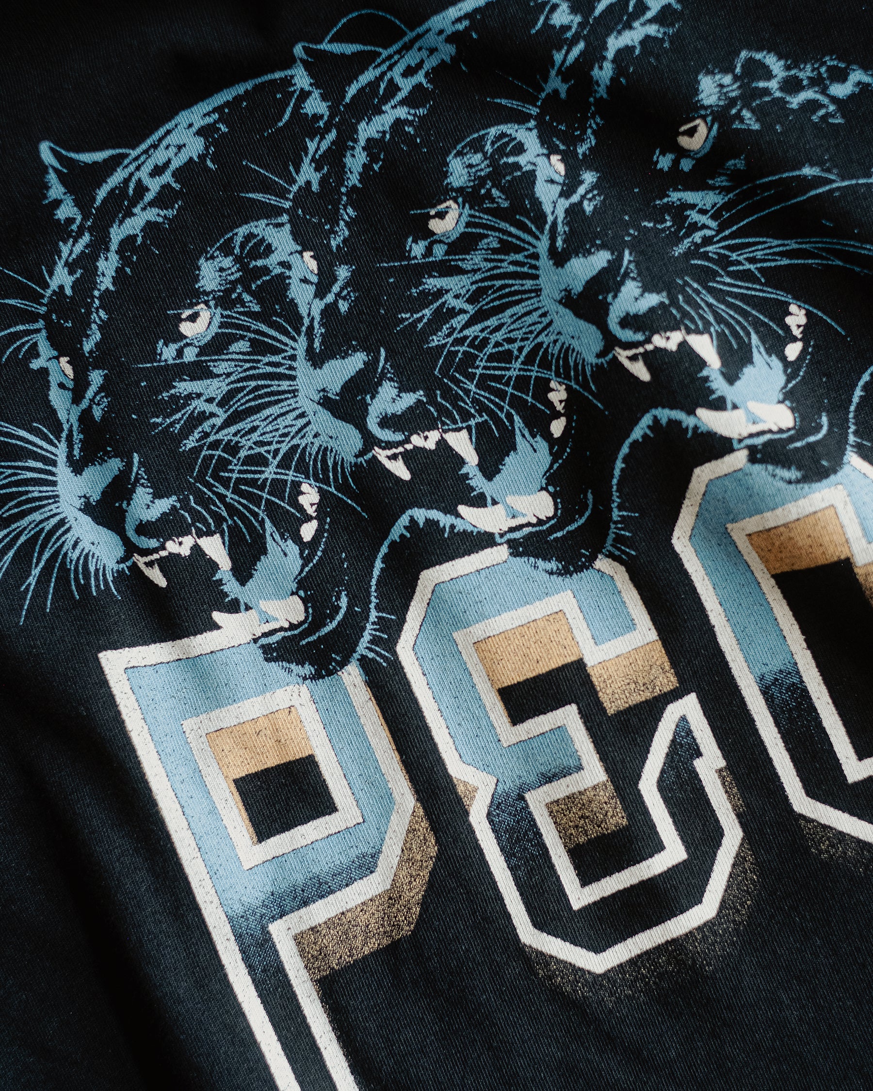 Panther Sports Boxy T-Shirt - Heavy Washed Black