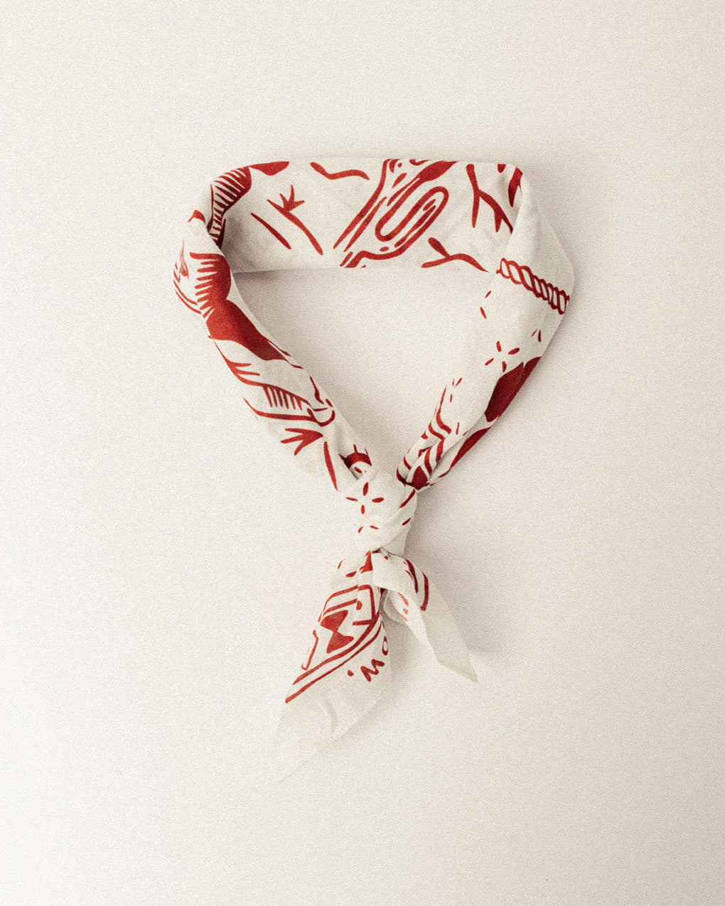 P&Mページ Gift Guide ‐ P&Co - A Mindset For Purposeful Living